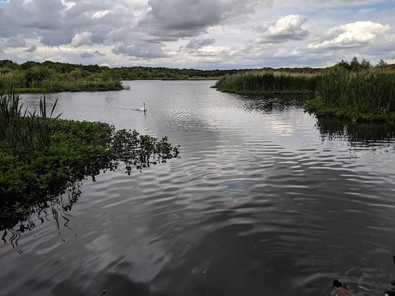 Fleet Pond Nature Reserve - Image 2