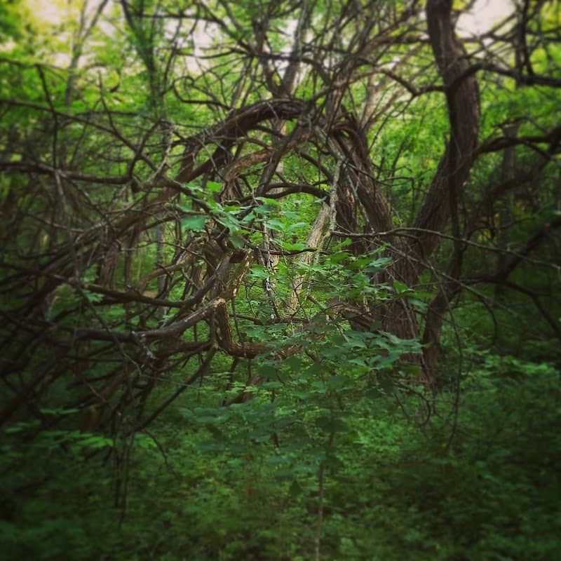 Lake Winnebago Park - Image 1