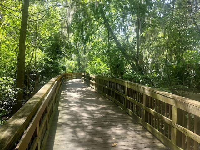 Cradle Creek Preserve - Image 2