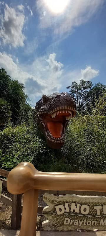 Dino Trail - Image 2