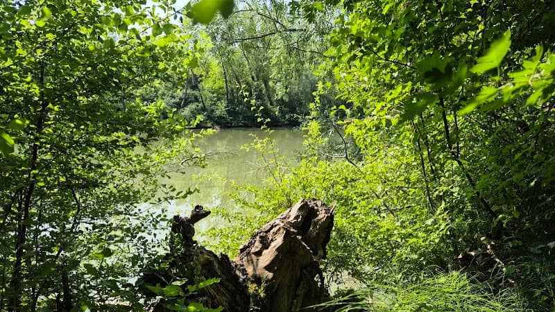 Lago della Boscarella - Image 2