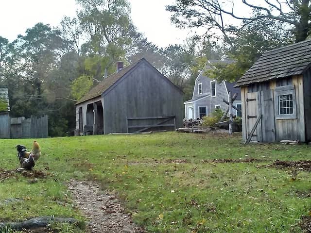 Coggeshall Farm Museum - Image 2
