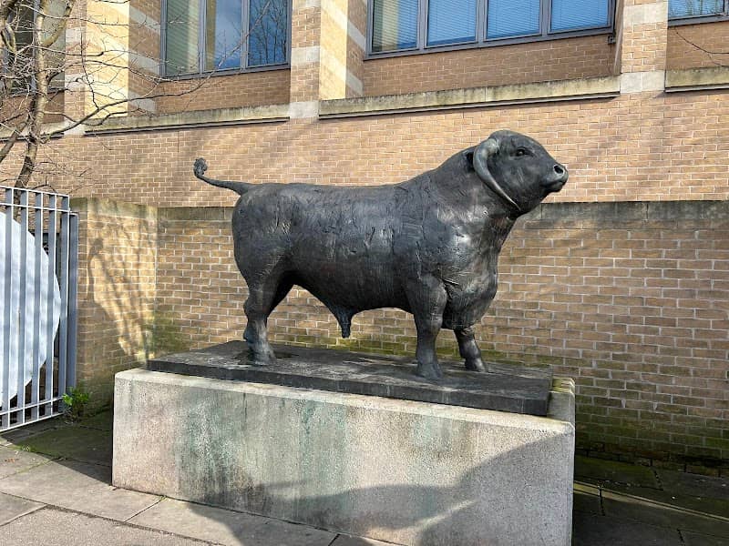 The Ox by Olivia Musgrave - Image 1