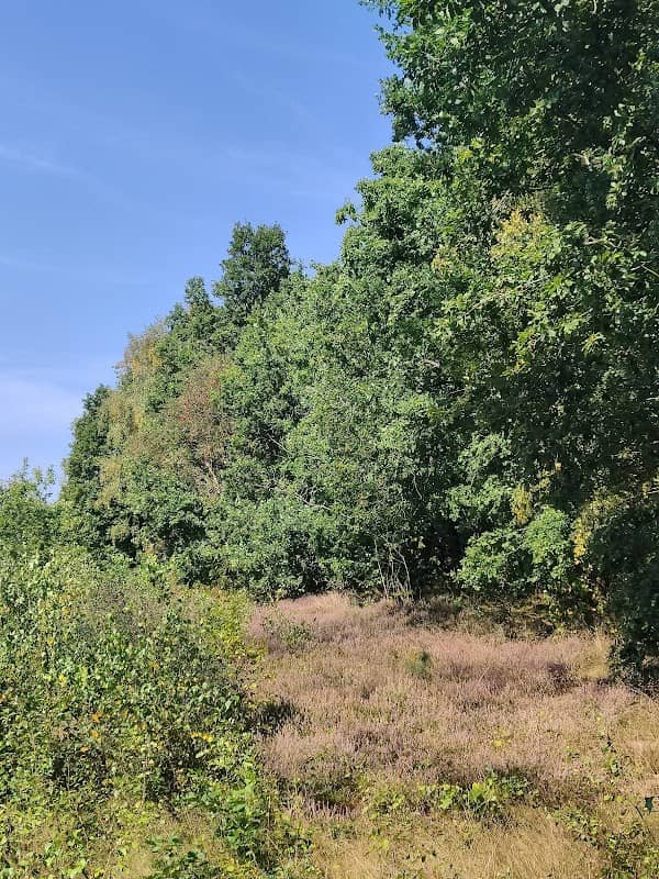 Termenei bei Wilhelmshausen - Image 1