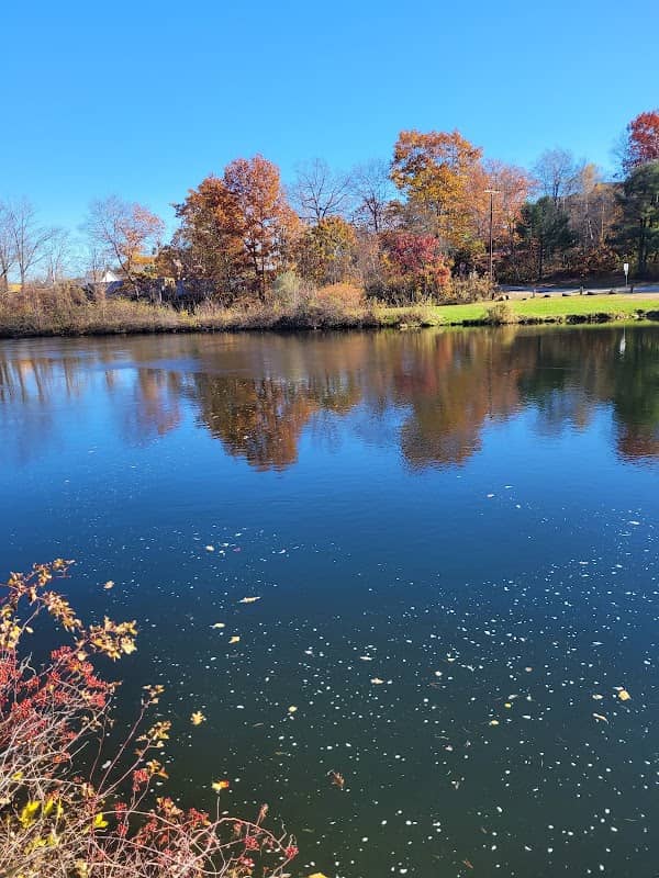 Riverfront Park - Image 3