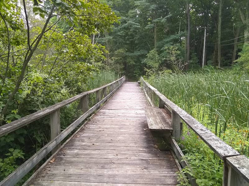 Mexico Point State Park - Image 2