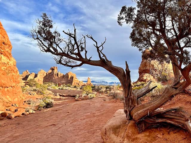 Windows Trail - Image 3