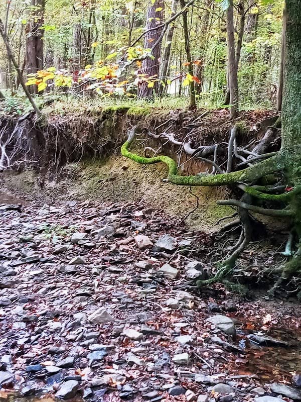 Sulphur Creek Trail - Image 2