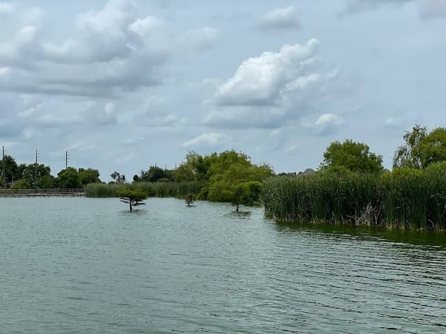Polishing Pond at Cross Creek Ranch - Image 2