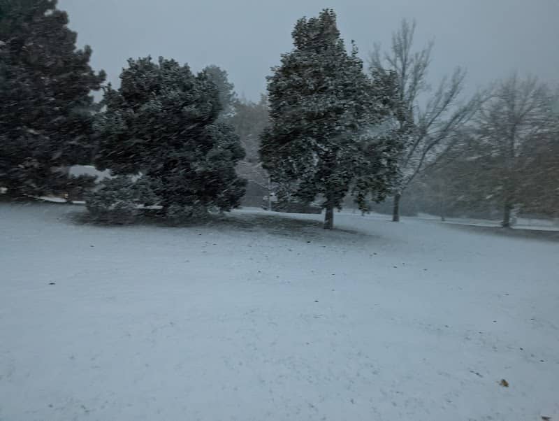 Foxridge Park - Image 2