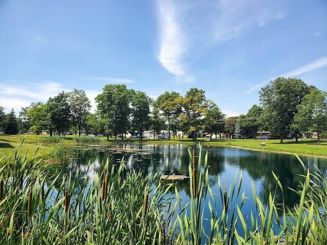 Henry Miller Park - Image 3