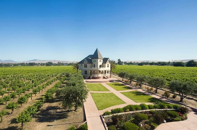 Concannon Vineyard - Image 2
