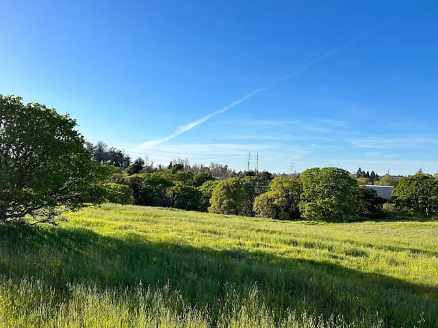 Hidden Oaks - Image 2