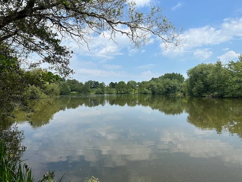 Lakeside Country Park - Image 1