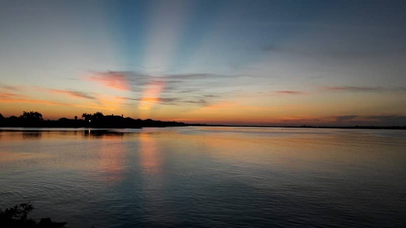 Palmetto Estuary Preservation Project - Image 1