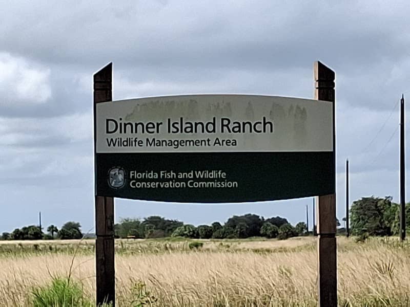 Dinner Island Ranch - Image 2