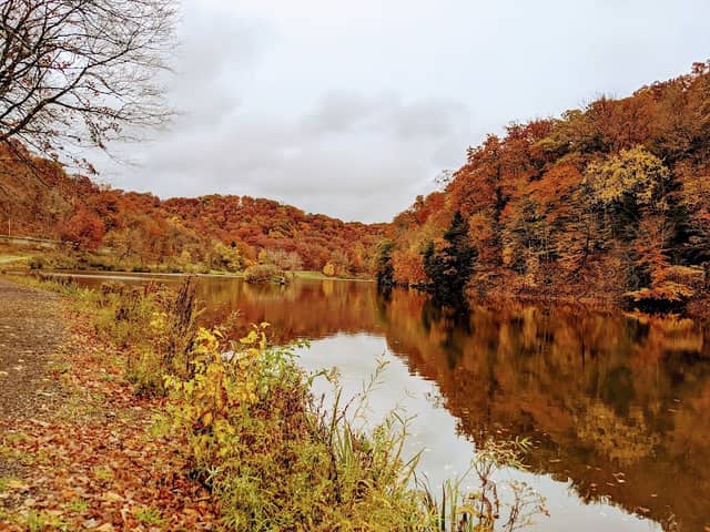 Bradys Run Park - Image 1