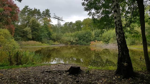 Dark Szene am See - Image 1