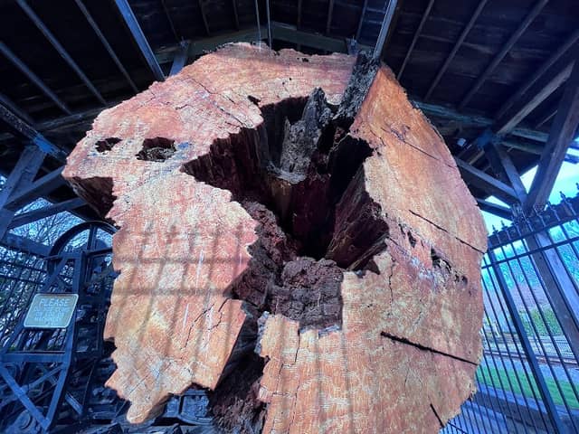 Snoqualmie Centennial Log - Image 2