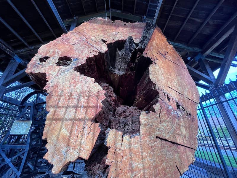 Snoqualmie Centennial Log - Image 2