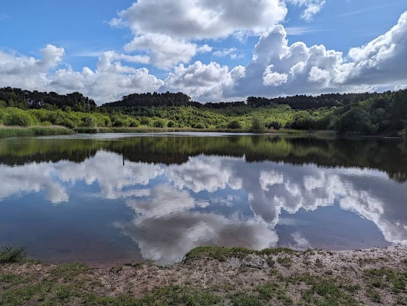 Cannock Lake - Image 2