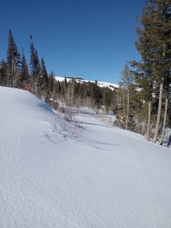 Sawtooth National Forest - Image 1