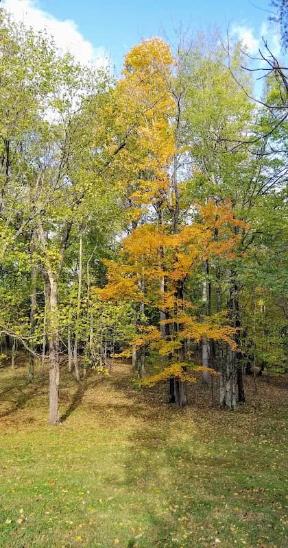 Capshaw Park - Image 2