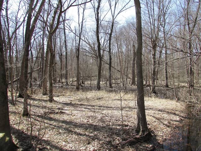 Tippecanoe River Nature Preserve - Image 1