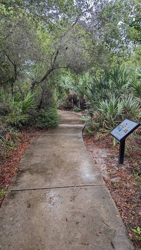 Serenoa Glade Preserve - Image 1