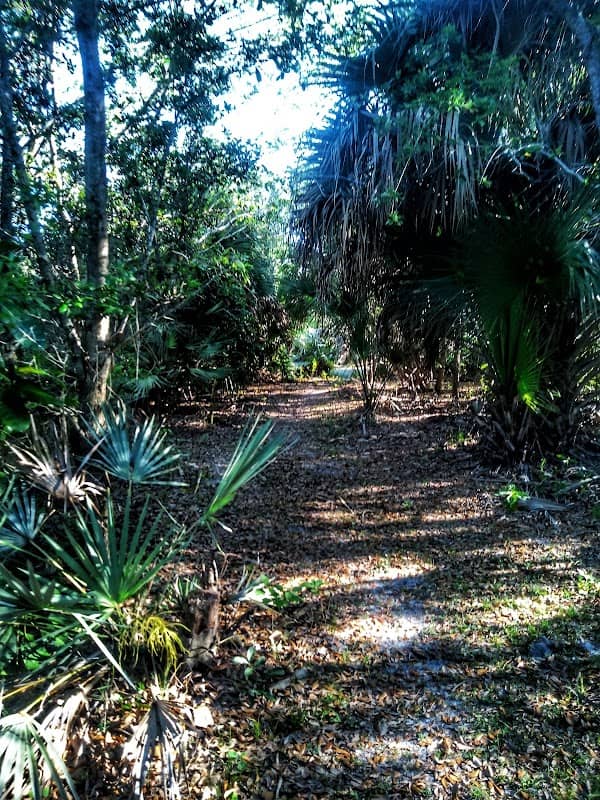 Serenoa Glade Preserve - Image 2