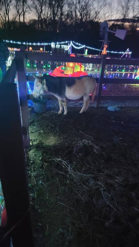 Christmas On the Farm - Image 2