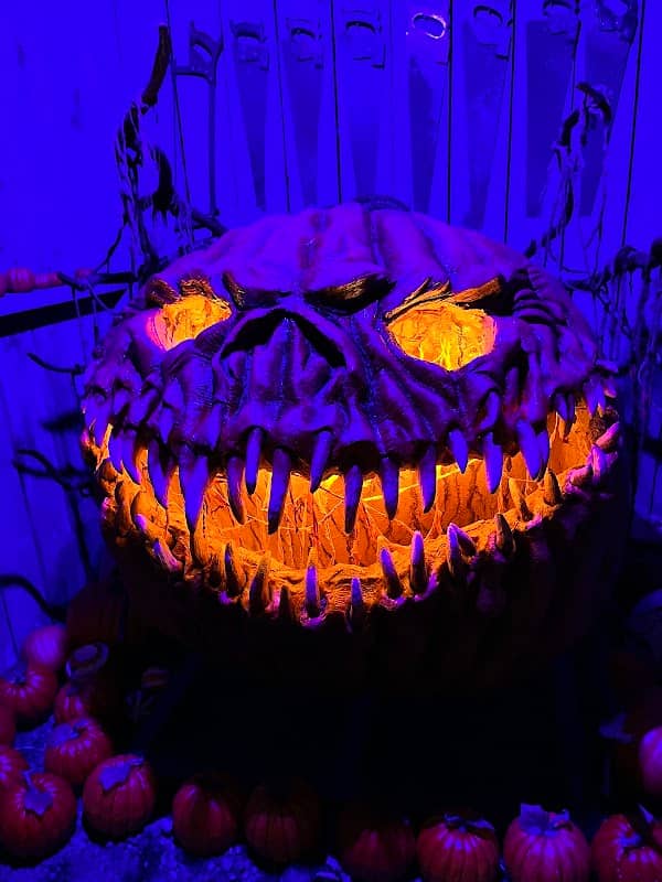 Everhaunt Haunted House - Image 1