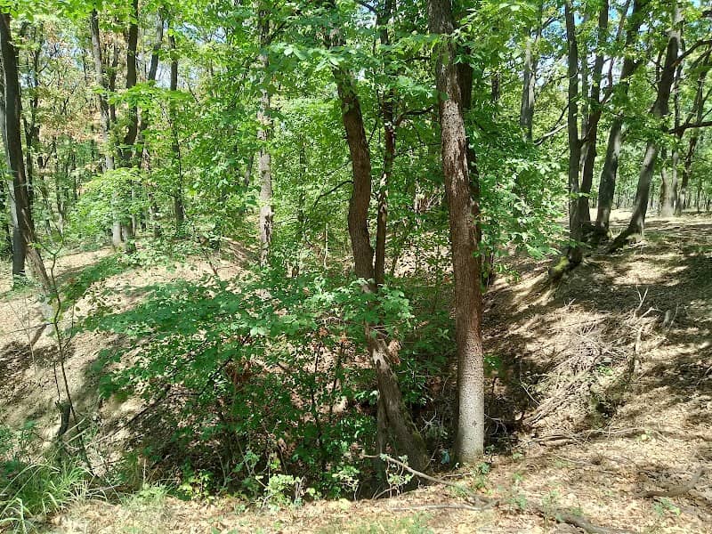 Punct de Belvedere - Image 1