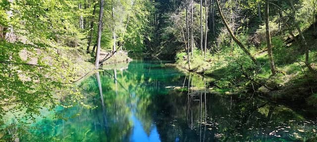 Wildpark Landsberg am Lech - Image 2