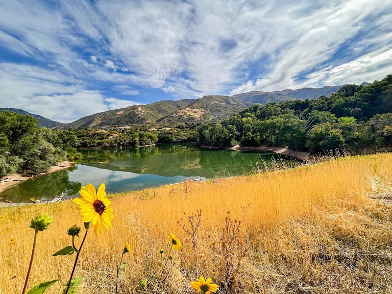 Kays Creek Parkway - Image 1