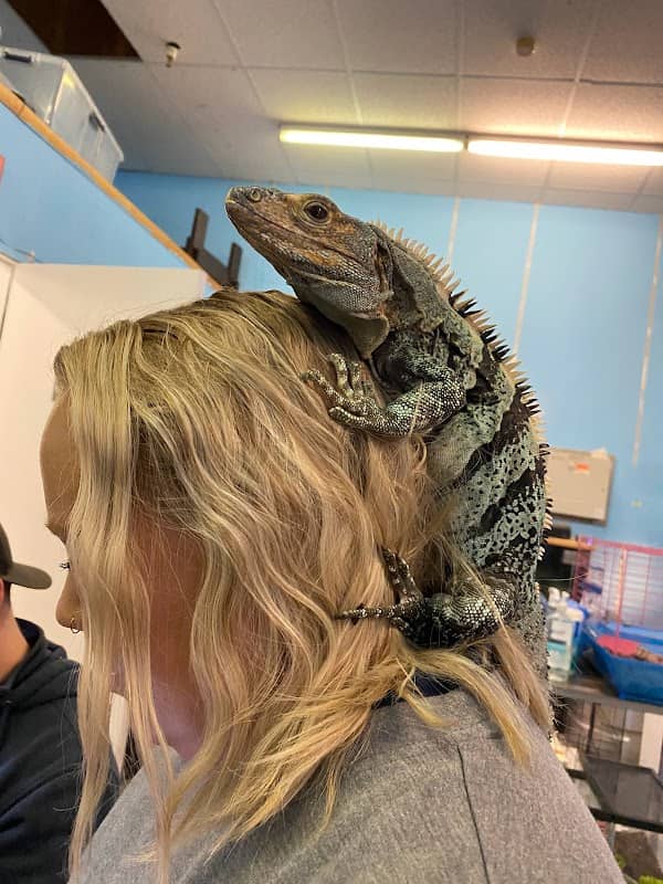 Twin Falls Zoological Center - Image 1
