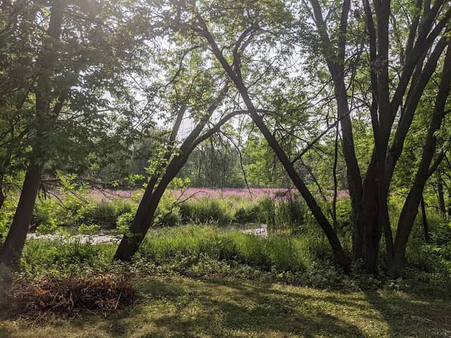 Sheridan Park - Image 1