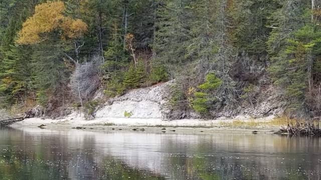 Whaleback Shell Midden State Historic Site - Image 2