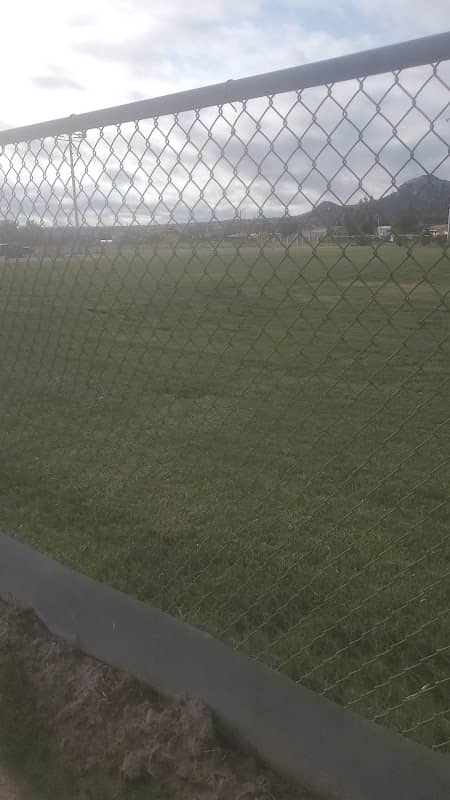 City Park - Image 2