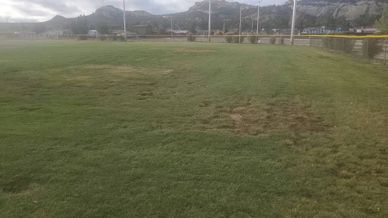 City Park - Image 1
