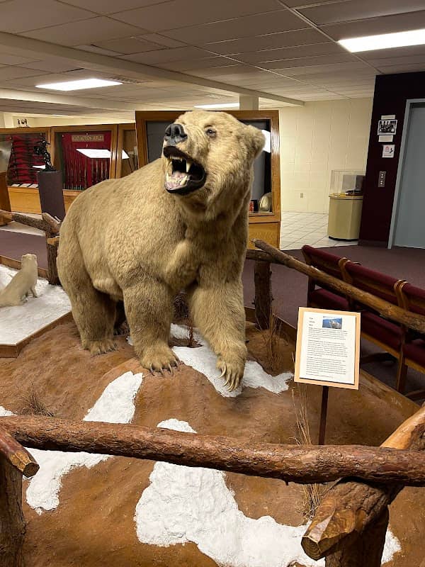 Ralph Foster Museum - Image 2
