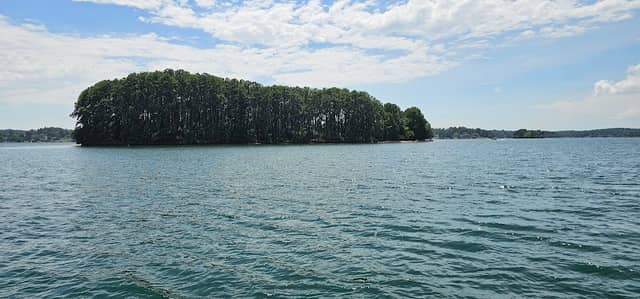 Lulu's Island - Image 1