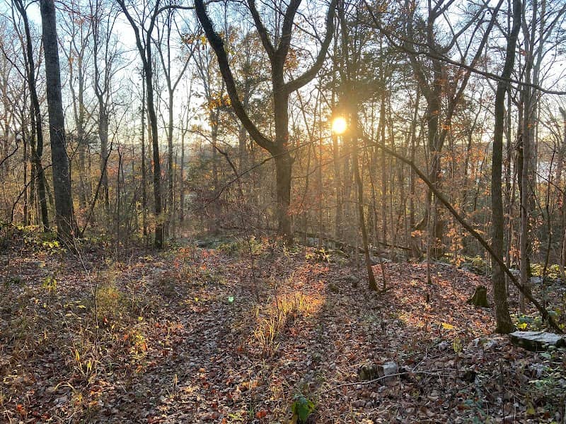 Cedar Mountain Access - Image 2