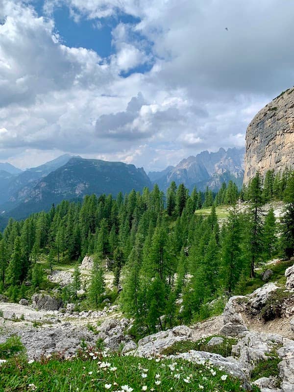 Strada Tre Cime Comune di Auronzo - Image 2