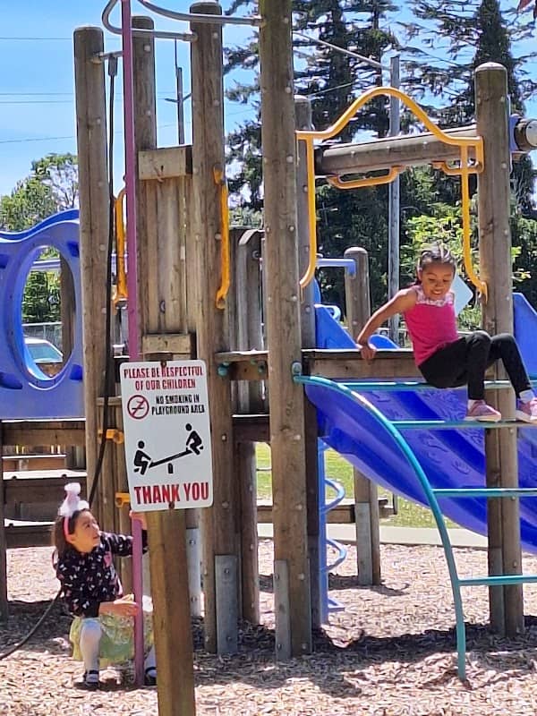 Oak Street Park Fields - Image 1