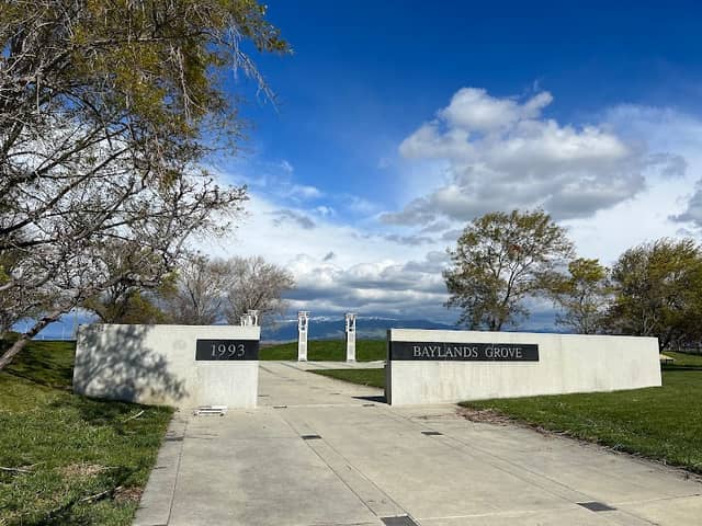 Baylands Grove - Image 2