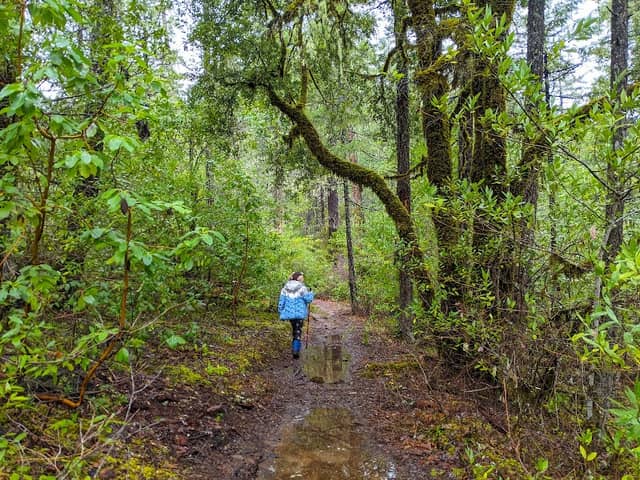 Limpy Botanical Interpretive Loop Trailhead - Image 1