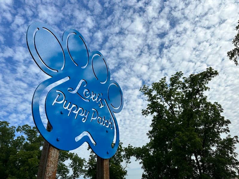 Lexi's Puppy Patch - Image 2