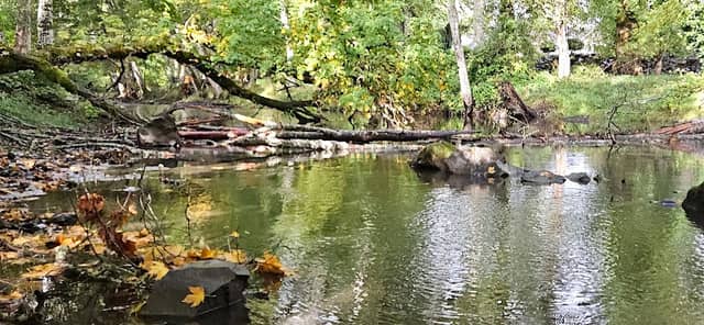 Creek Trail - Image 2
