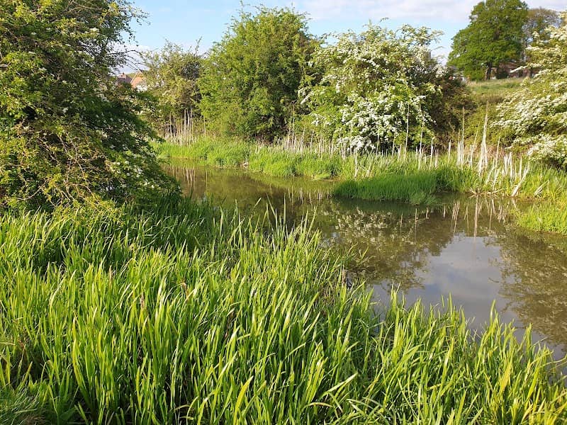 Swift Valley Country Park - Image 2